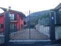 cancellicarrai6