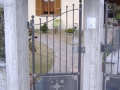 cancellicarrai8