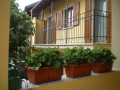 parapetti6