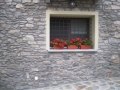parapetti8
